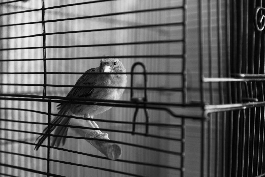 Eindhoven zakelijke fotografie 3 zakelijke fotoreportages