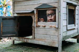 Familiefotografie Eindhoven kind zit in konijnenhok